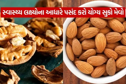 dry fruit 1310.jpg.webp