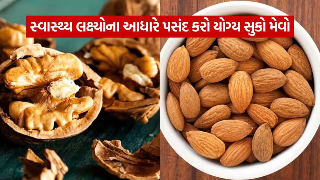 dry fruit 1310.jpg.webp
