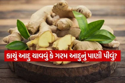 ginger 1810.jpg.webp