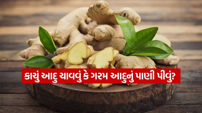 જાણો આદુના નિયમિત સેવનથી મળતા અદભુત સ્વાસ્થ્ય લાભો 1 ginger 1810.jpg.webp