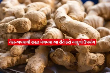 ginger2.jpg.webp