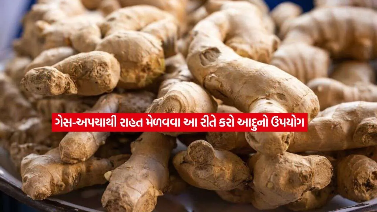 ginger2.jpg.webp