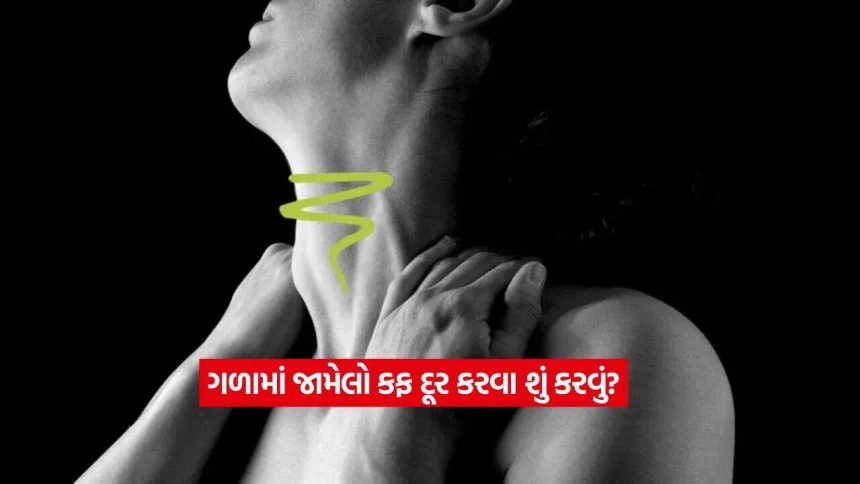 ગળામાં વારંવાર જમા થાય છે કફ? આ ઘરેલુ ઉપાયોથી મેળવો રાહત 1 heart4.jpg.webp