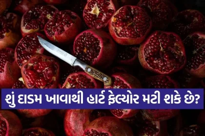 iNDIA 2026 10 01T003029.890.jpg.webp