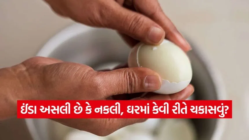 અસલી કે નકલી ઈંડા? ઘરે બેઠા આ સરળ રીતોથી કરો ઈંડાની તાજગીની ચકાસણી 1 iNDIA 2026 10 02T105040.086.jpg.webp