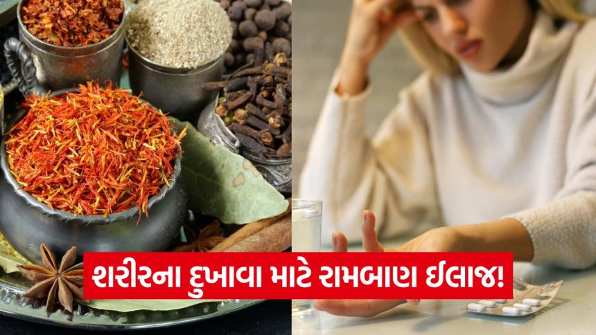 પેઈન કિલર દવાની જરૂર નથી! રસોડાના આ 6 મસાલા મટાડશે શરીરનો દરેક દુખાવો 1 iNDIA 2026 10 19T234429.954
