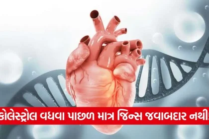 iNDIA 2026 10 24T095409.982.jpg.webp
