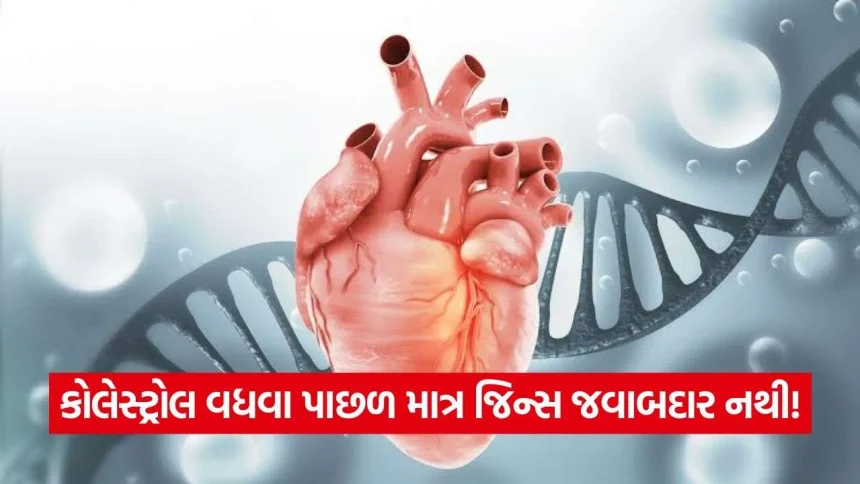 iNDIA 2026 10 24T095409.982.jpg.webp