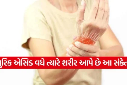 iNDIA 2026 10 24T173357.851.jpg.webp