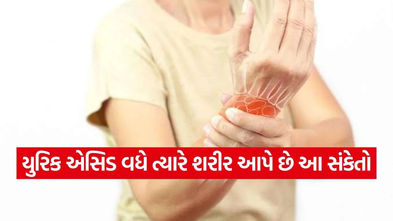 iNDIA 2026 10 24T173357.851.jpg.webp