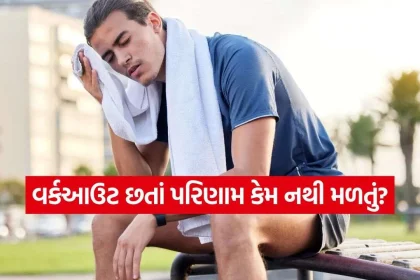 iNDIA 2026 10 25T235024.289.jpg.webp
