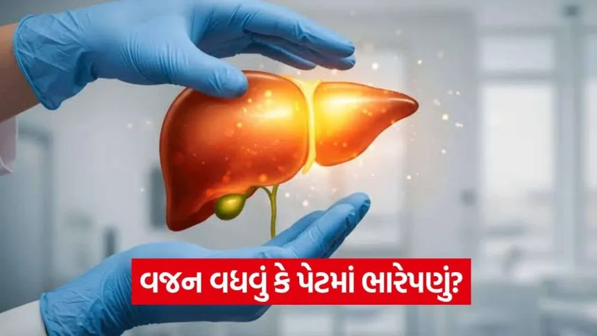 વજન વધવું કે પેટમાં ભારેપણું? જાણી લો ફેટી લિવરના આ પાંચ ખતરનાક લક્ષણો જે મોટાભાગના લોકો કરે છે ઇગ્નોર 1 iNDIA 2026 10 26T151208.559.jpg.webp