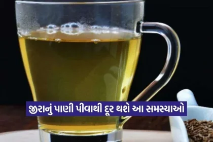 jeera2.jpg.webp