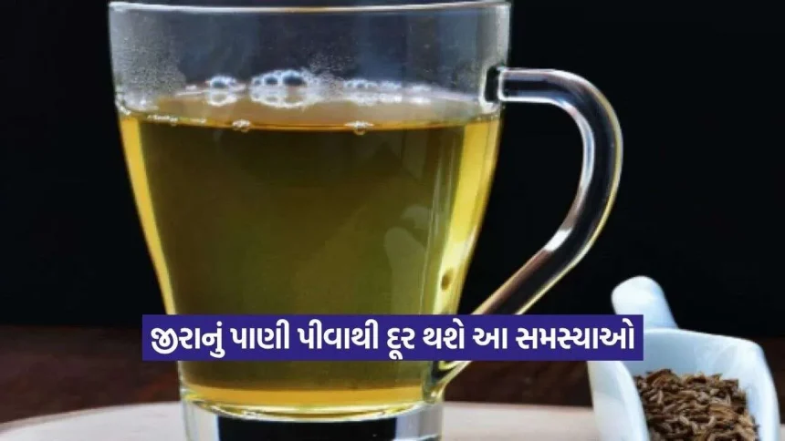 સ્વાસ્થ્ય માટે વરદાન સમાન છે જીરાનું પાણી! દરરોજ સવારે પીવાથી શરીરને થશે આ અદ્ભુત ફાયદા 1 jeera2.jpg.webp