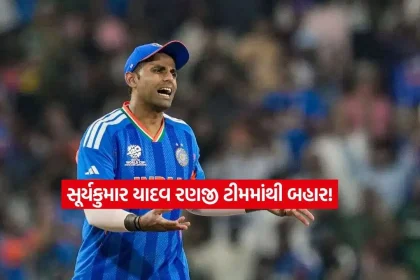 match43.jpg.webp