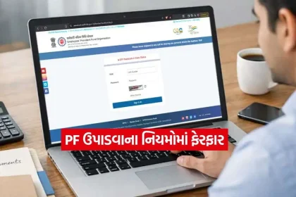 pf.jpg.webp