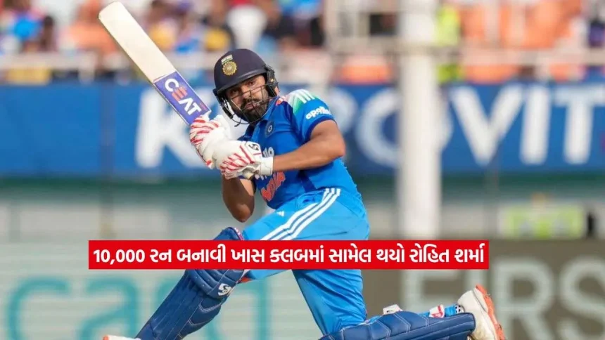 rohit2.jpg.webp