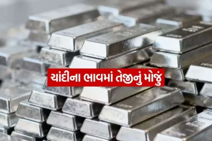 silver 2009.jpg.webp