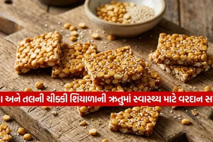 tal daliya chikki 2810.jpg.webp