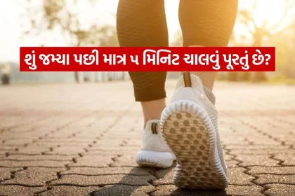 walk 0210.jpg.webp