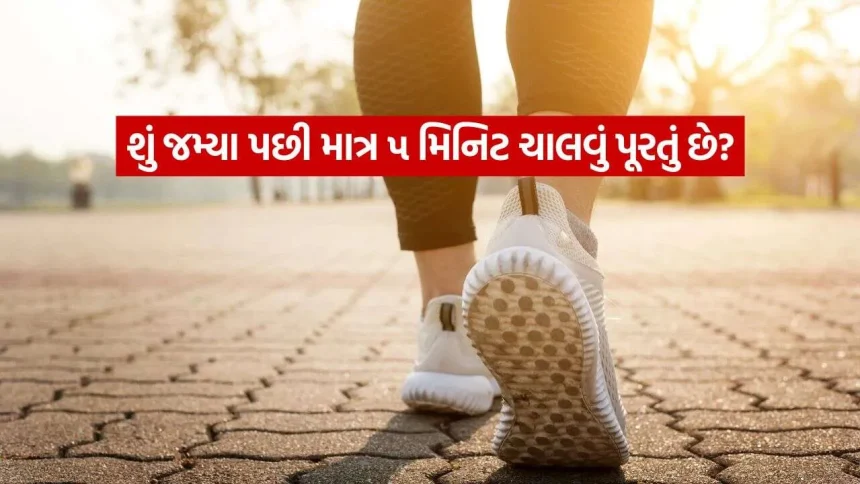 જમ્યા પછી કેટલો સમય ચાલવાથી બ્લડ સુગર ઘટે છે? 1 walk 0210.jpg.webp