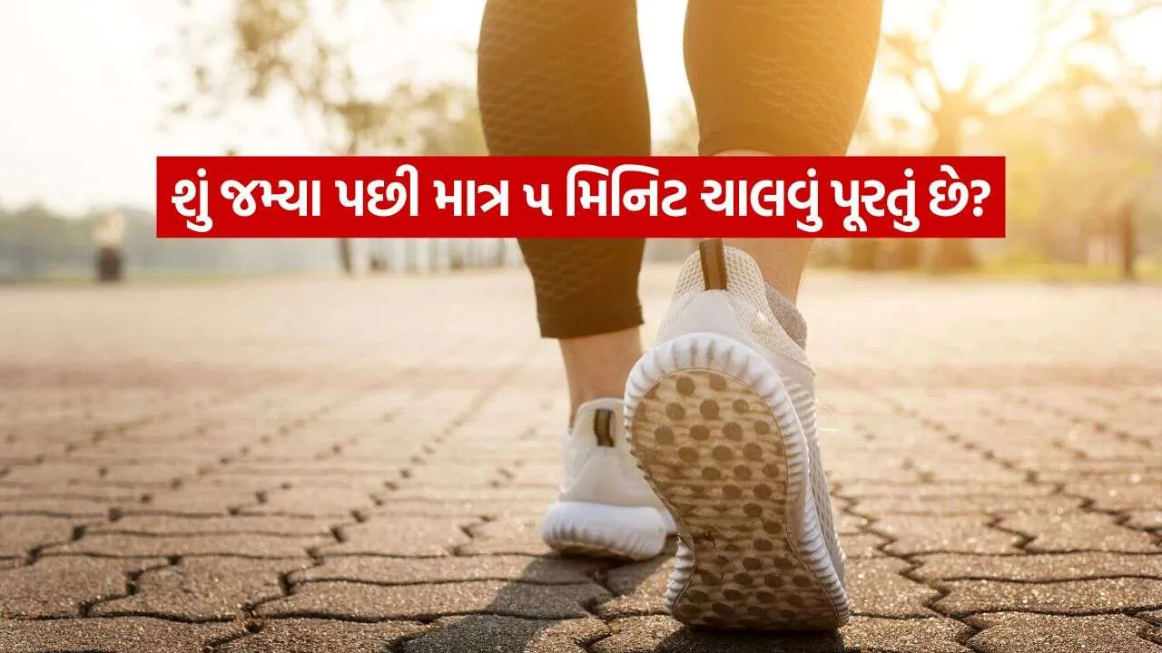 walk 0210.jpg.webp