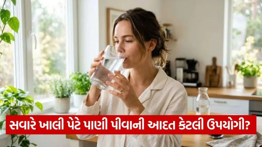 શું તરસ લાગે ત્યારે જ પાણી પીવું જોઈએ? જાણો શરીરને હાઇડ્રેટેડ રાખવાની સાચી રીત 1 water 2310.jpg.webp