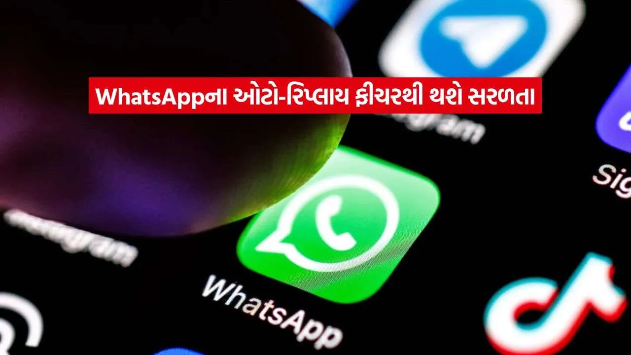 whatapp.jpg.webp